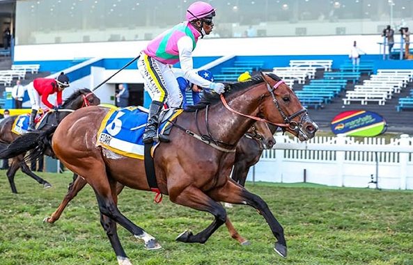Jet Dark Ready For Big Run In Champions Cup, Says Snaith