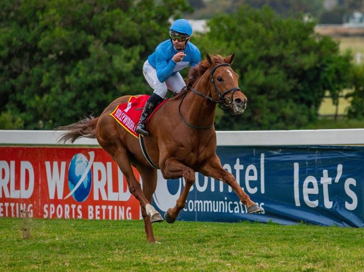 Charles Dickens Heads Cape Classic Entries