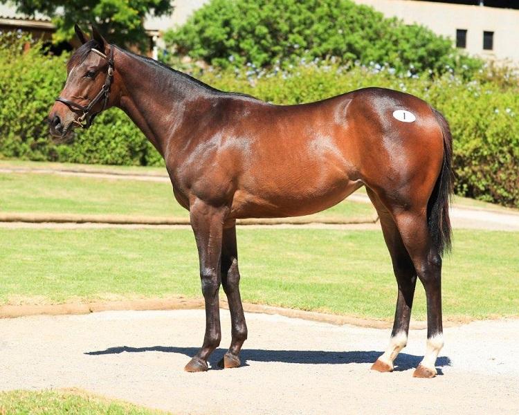 Sire Power for Klawervlei at CPYS!