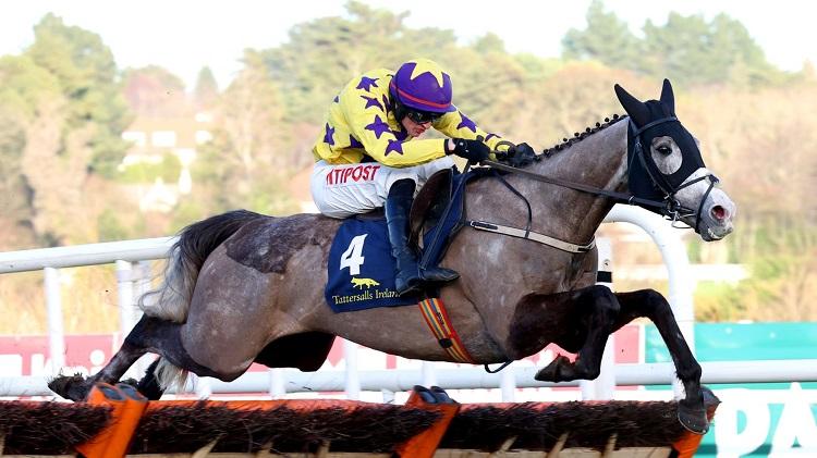 Hollywood/Barnane Stud Have One Of The Favourites For Cheltenham’s Supreme Novices Hurdle After Grade 1 Win