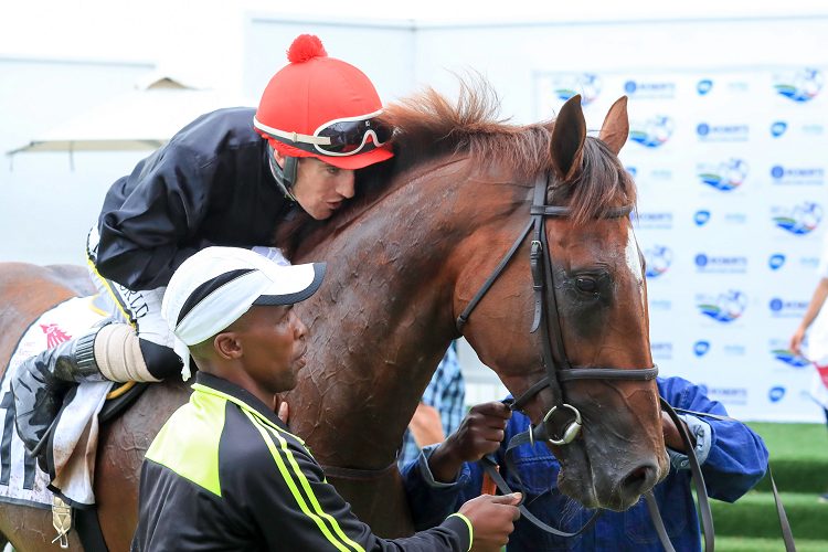 Golden Ducat, Trip Of Fortune Among Derby Day Entries at Turffontein