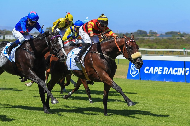 Rascallion, Winchester Mansion Appeal Most In Durban July