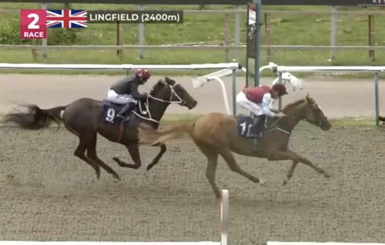 Mary Slack Filly Runs Promising 2nd At Lingfield