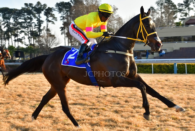 Small Yards Dominated Tuesday’s Highveld Meeting