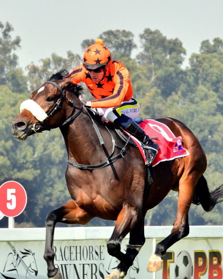 Vaal Straight Course Formguides And Selections