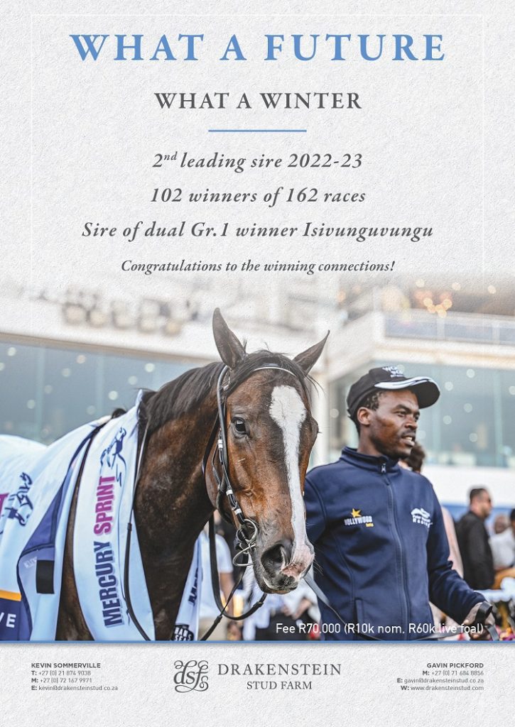 Turf Talk Newsletter – 17 August, 2023 – Turf Talk