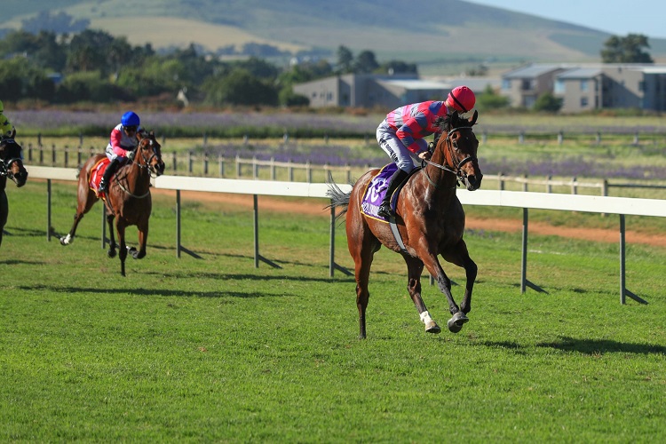 Impressive Red Palace Being Aimed At Cape Fillies Guineas