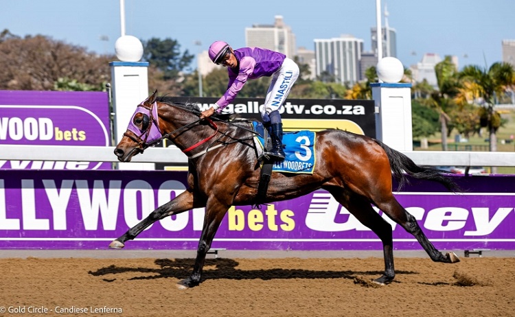 Van Zyl At Fairview For Glenmore Sprint