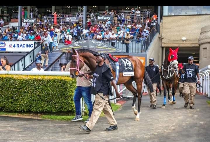 Handicapping Ratings Update – Royal Victory Up To 119