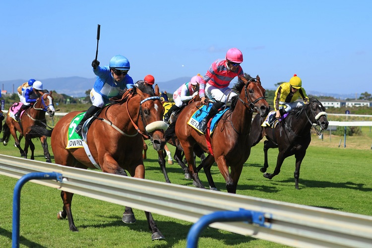 The Right Horse Won The HWB Cape Guineas