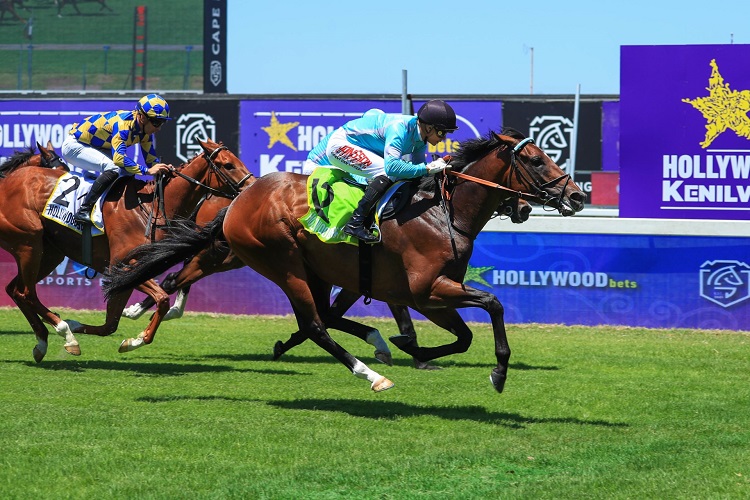 Hollywoodbets Kenilworth Formguides And Selections