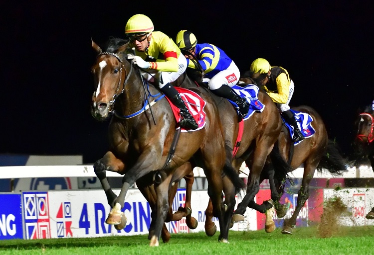 Turffontein Standside Formguides And Selections