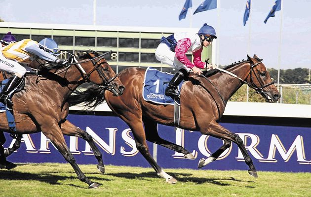 Pocket Power’s World Record-equalling LQP Bid Remembered