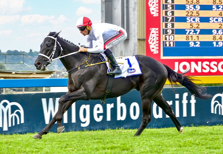 Ready-Made Gr 2 Treble For Champions Season Opener?