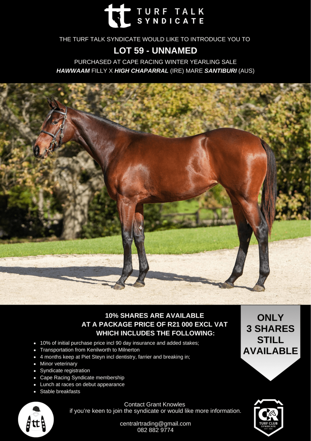 Derek James Racing Syndicate Syndicates – Turf Talk