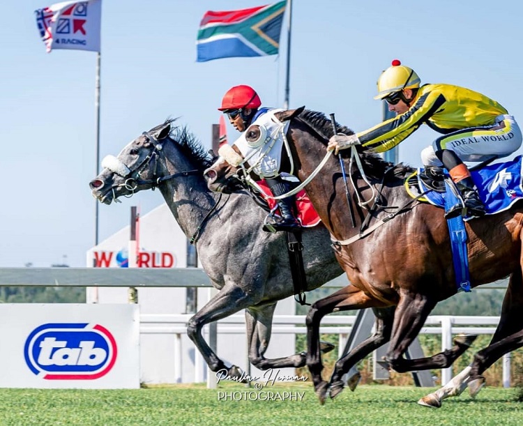 Greeff Five-timer, Fourie Four-timer