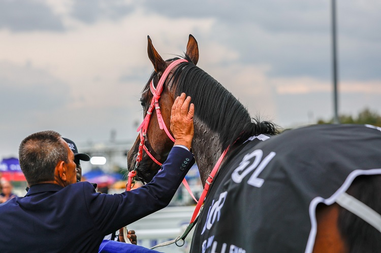 Royal Victory In A Happier Space Than Ever, Contrary To Rumours