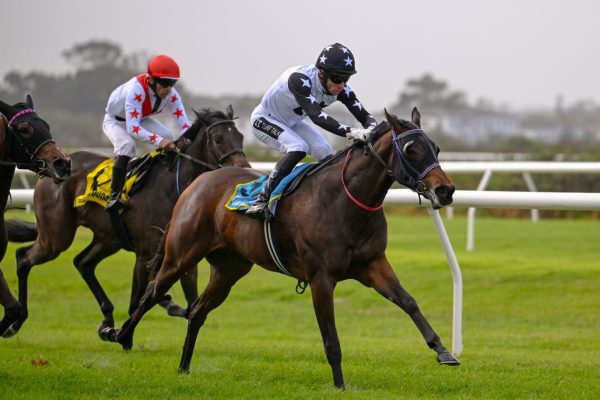 WhatsApp Image 2025-05-28 at 13.29.24 (3)