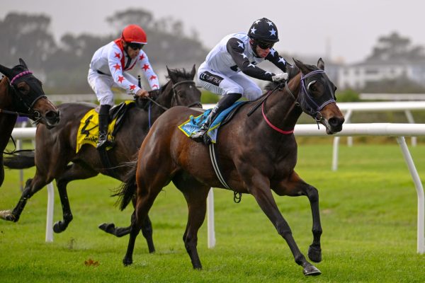 WhatsApp Image 2025-05-28 at 13.29.24