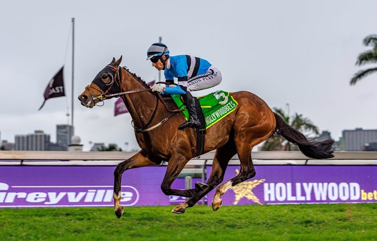 Frank Robinson Plans Next Step For Madison Valley