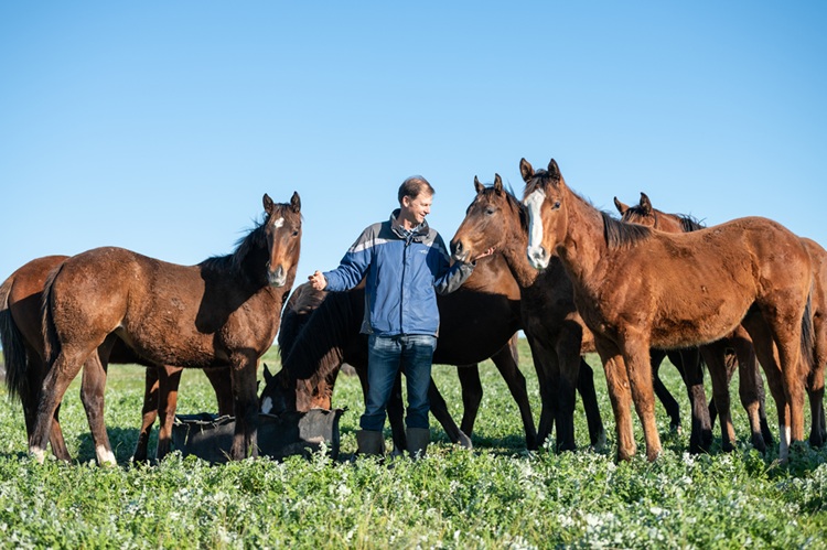 Sandown Stud Offer Quality Quartet At Two-year-old Sale