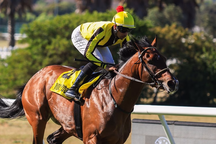 Khaya Stables Can Not Separate Their 3YO Hopefuls