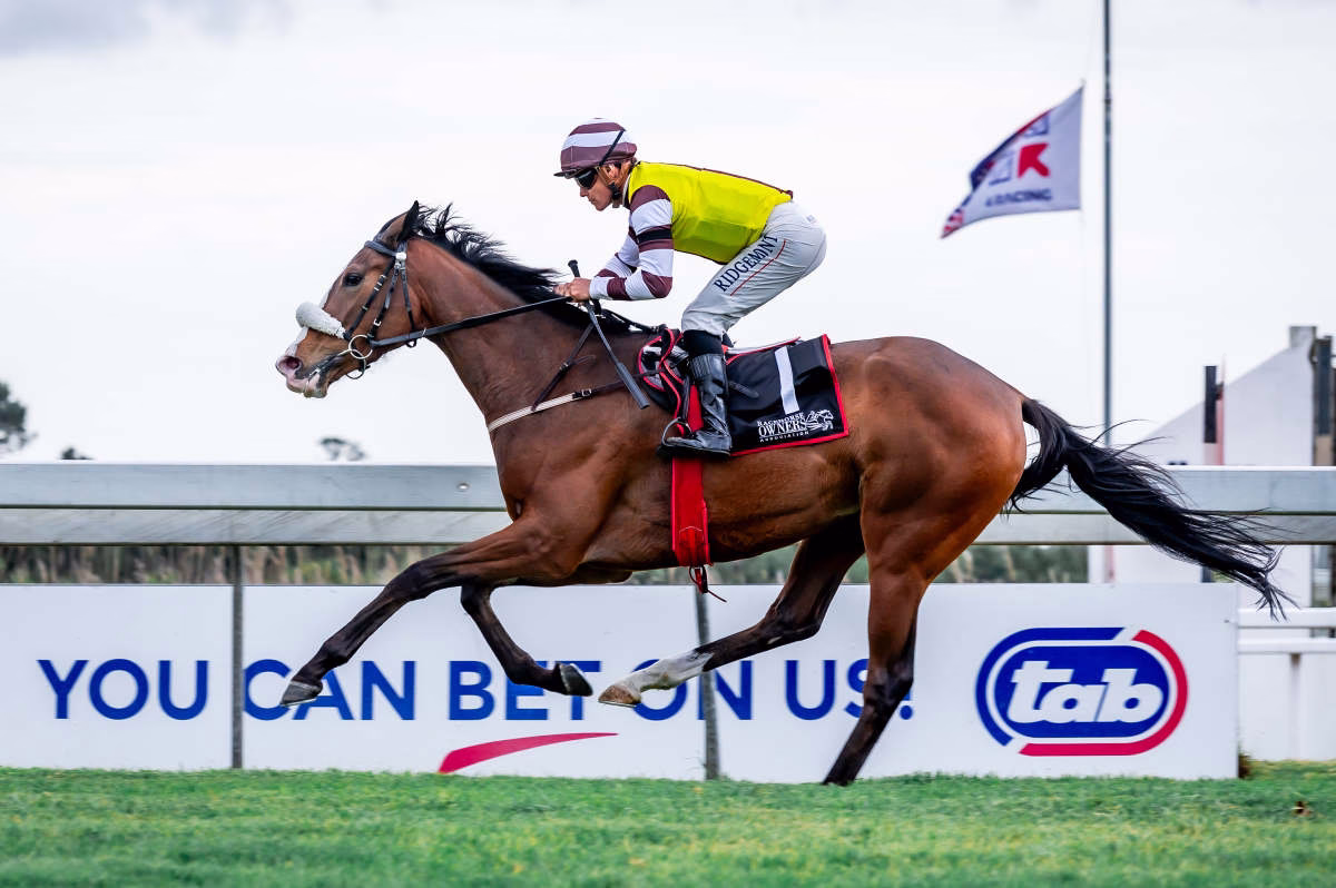 Golden Palm’s smashing comeback