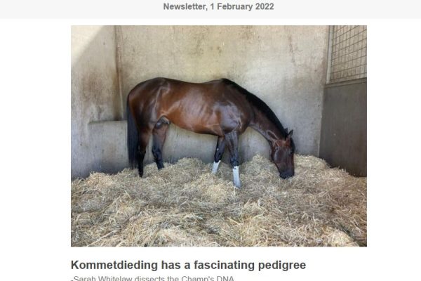 KOPMMET